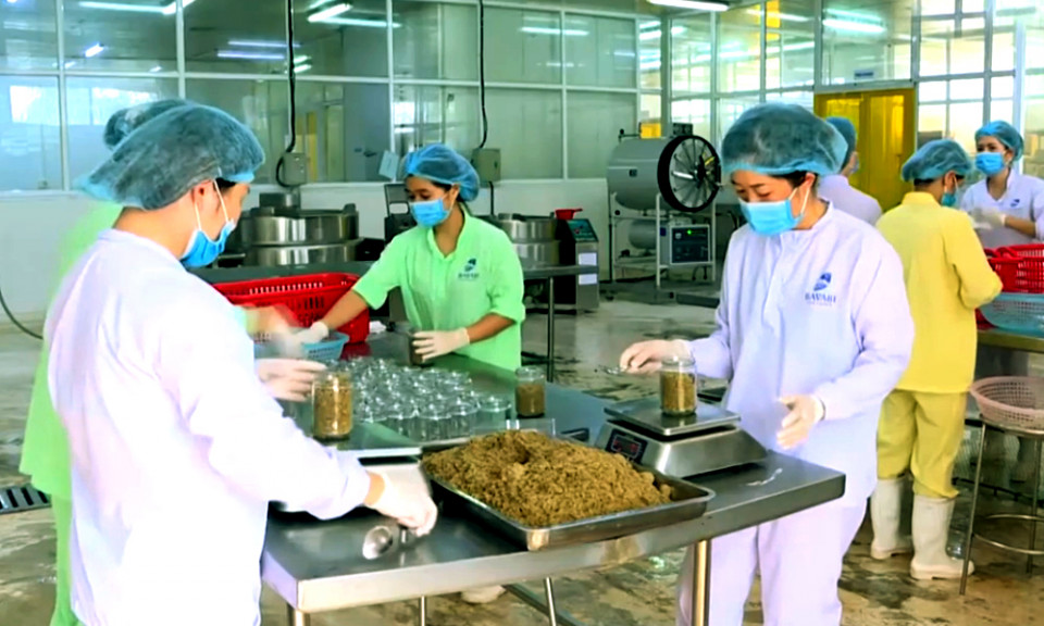 Nâng cao giá trị cho hải sản Vân Đồn
