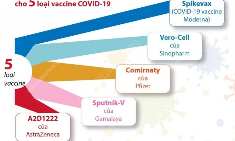 5 loại vaccine COVID-19 được cấp phép sử dụng khẩn cấp