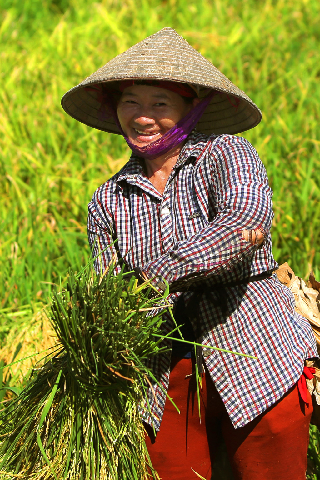 Be happy with a fruitful harvest. Photo: Nguyen Long Giang