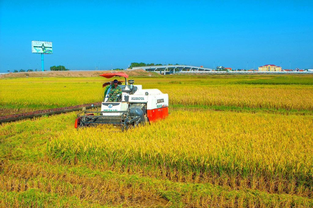 Industrial agriculture. Photo: Nguyen Long Giang