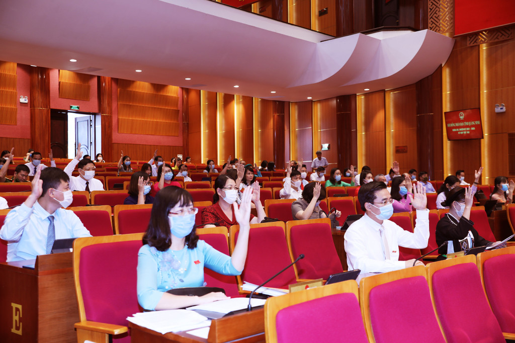 Các đại biểu biểu quyết miễn nhiệm ủy viên UBND tỉnh.