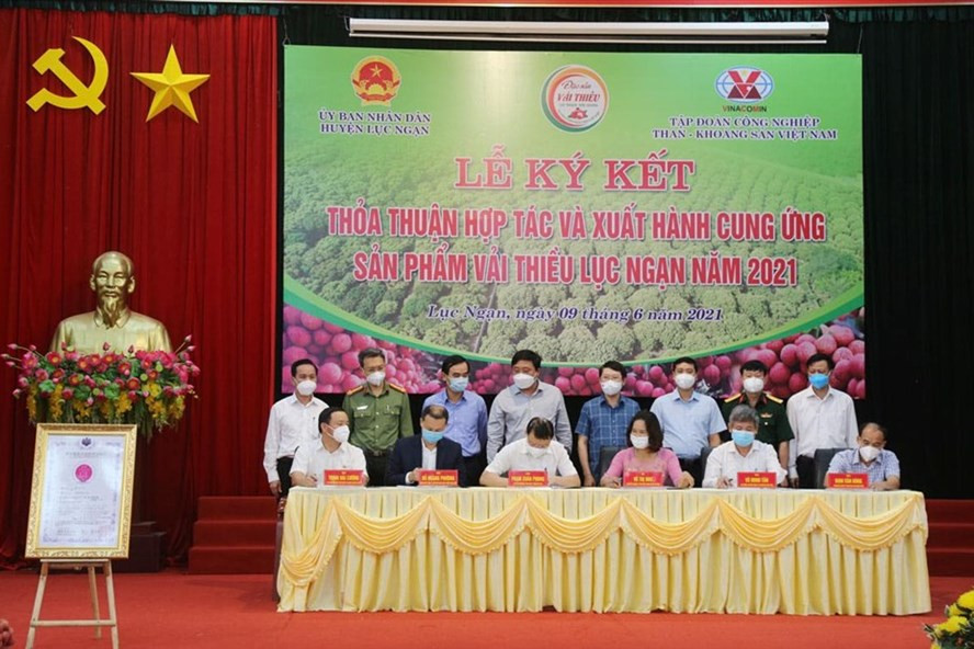 Không chỉ hỗ trợ các địa phương trong công tác phòng chống dịch, nhằm tiếp tục hỗ trợ Bắc Giang, Tập đoàn TKV chi hơn 5 tỉ đồng mua vải thiều ủng hộ nông dân Bắc Giang; chỉ đạo các đơn vị thành viên trong toàn Tập đoàn phối hợp với tổ chức công đoàn cùng cấp tổ chức thu mua, tiêu thụ vải thiều giúp nông dân tỉnh Bắc Giang với mức tối thiểu bình quân 2kg/người, khuyến khích các đơn vị tiêu thụ ở mức cao hơn.
