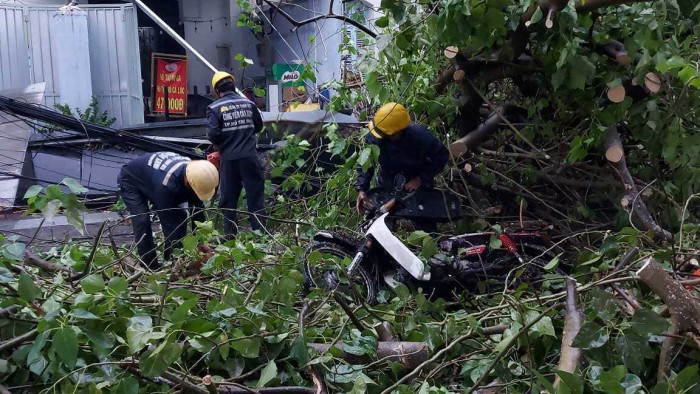 Cây xanh bật gốc đè trúng người đi đường, CSGT cầm cưa máy tất bật dọn dẹp 2