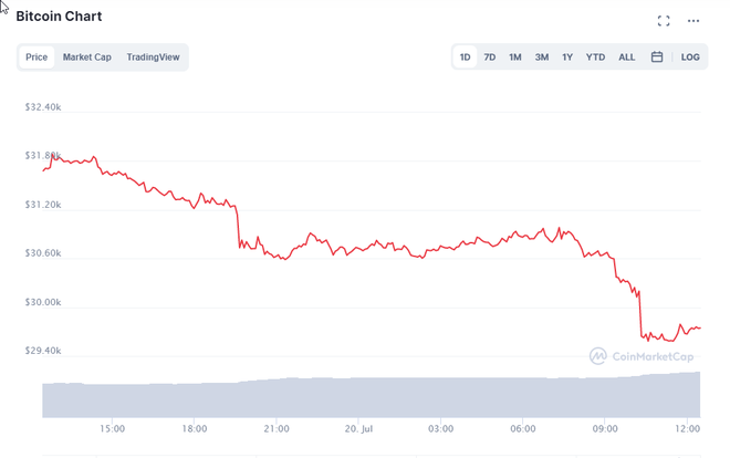 Nhà đầu tư hoảng loạn khi Bitcoin thủng mốc 30.000 USD, sẽ còn lao dốc sâu về 22.000 USD? - Ảnh 1.