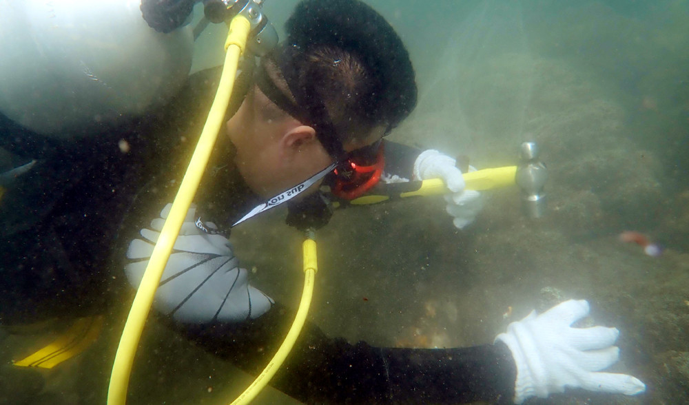 Coral reefs expose at low tide. Divers are surveying and collecting samples in coral reefs.