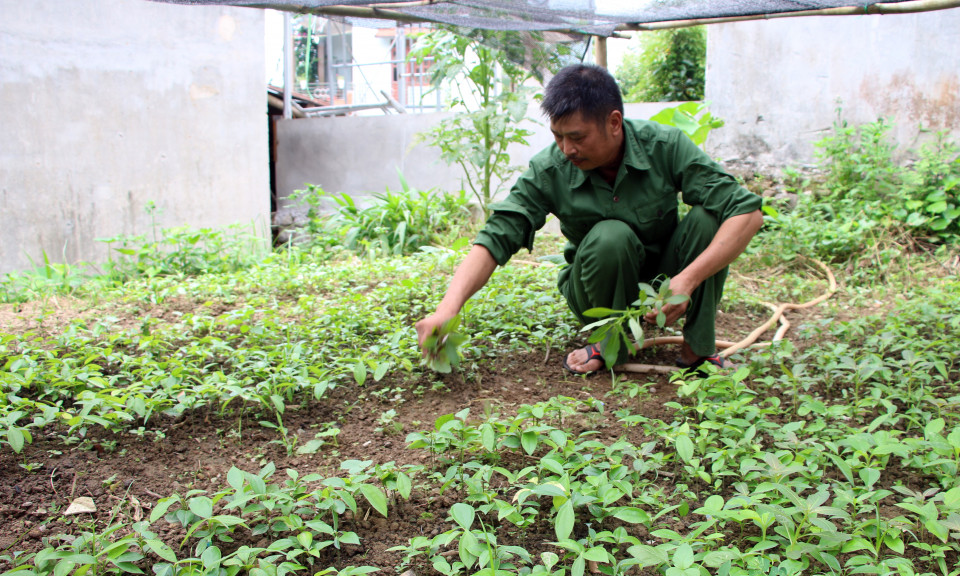 Tấm gương thương binh năng động