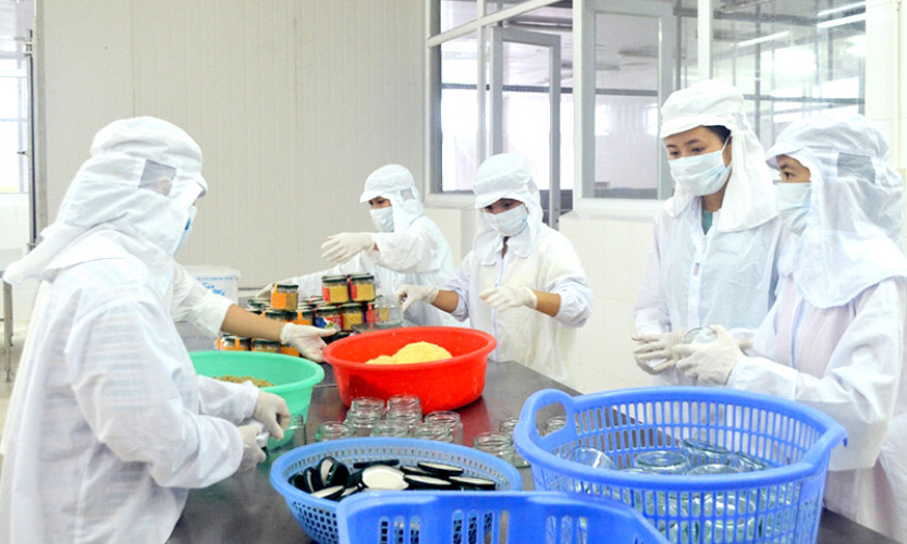 Đồng hành cùng doanh nghiệp Nông nghiệp