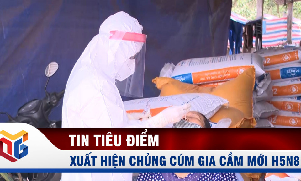 Quảng Ninh xuất hiện chủng cúm gia cầm mới H5N8