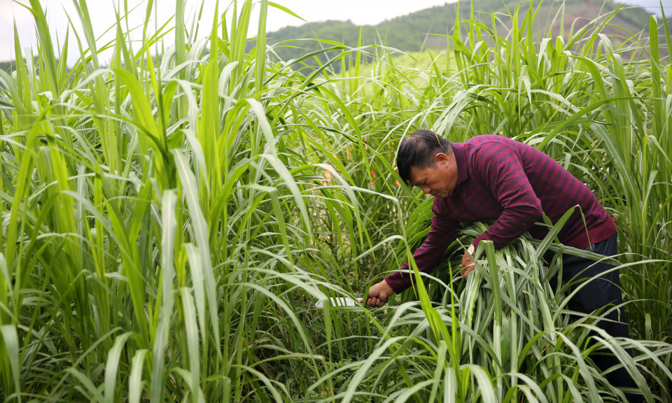 Hải Hà phát huy vai trò của người có uy tín
