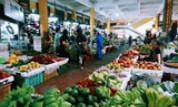 Xã có được tổ chức đấu thầu dịch vụ quản lý chợ?