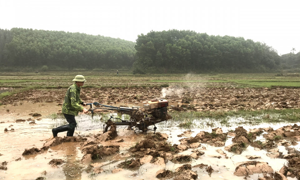 Phòng chống sinh vật gây hại trên cây trồng vụ mùa