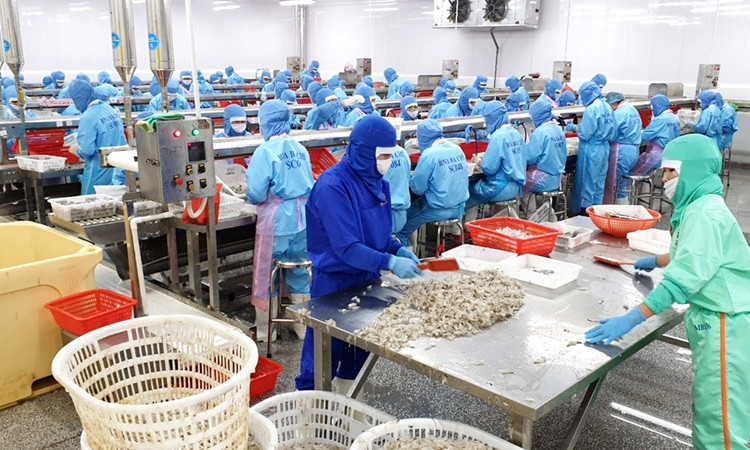 Tận dụng mọi dư địa để khôi phục, phát triển kinh tế 