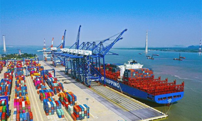 Các doanh nghiệp thủy sản sốt ruột vì giá cước vận tải biển