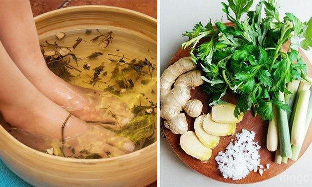 Trước khi đi ngủ, ngâm chân với loại lá này có thể chữa 5 loại bệnh nhiều người mắc