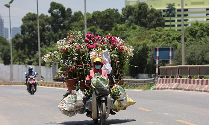 Bắc Bộ trời nắng, Nam Tây Nguyên và Nam Bộ có mưa rào và dông