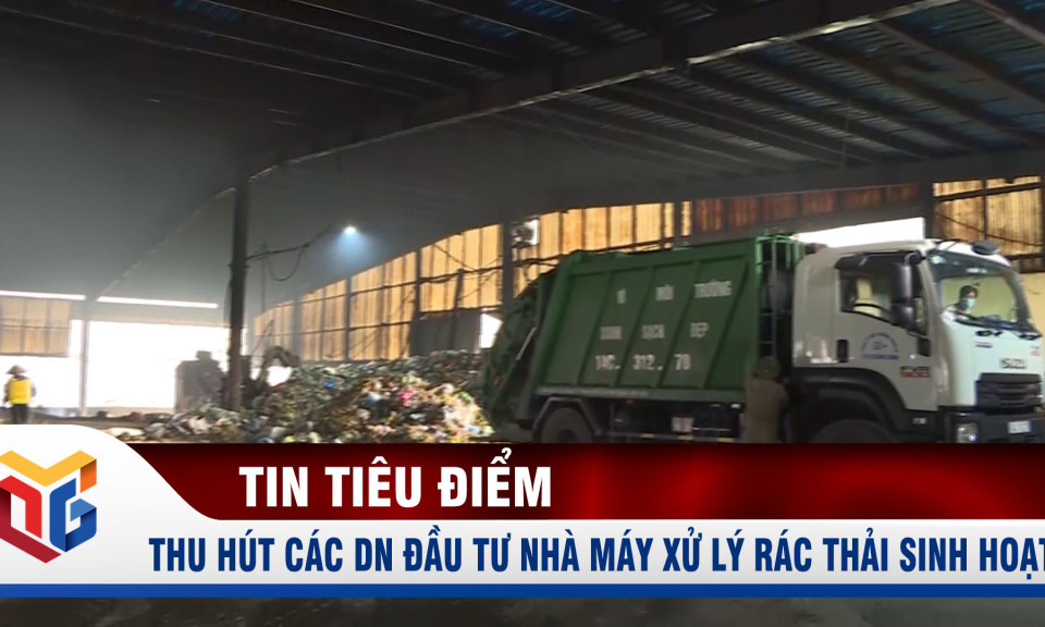 Thu hút các doanh nghiệp đầu tư nhà máy xử lý rác thải sinh hoạt