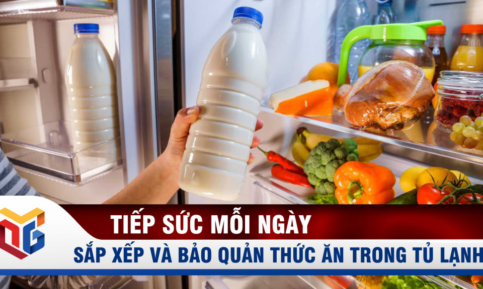 Sắp xếp bảo quản thực phẩm trong tủ lạnh