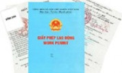 Xin cấp giấy phép lao động tại trụ sở hay chi nhánh?