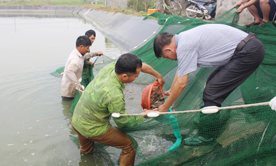 Đồng hành cùng hội viên nông dân giảm nghèo