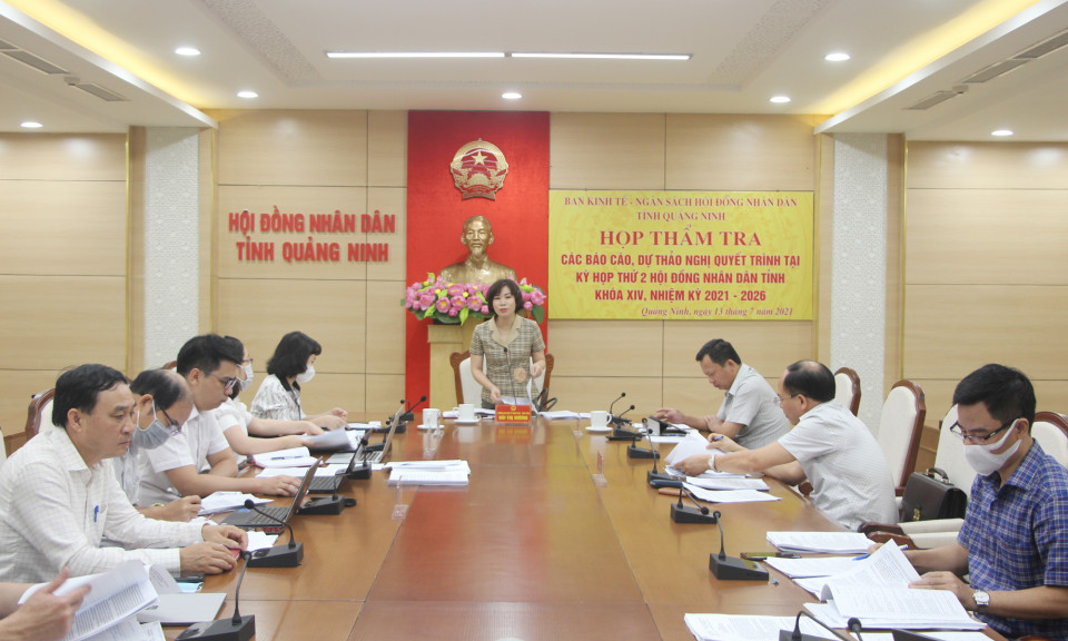 Ban Kinh tế Ngân sách thẩm tra tờ trình, báo cáo, dự thảo Nghị quyết