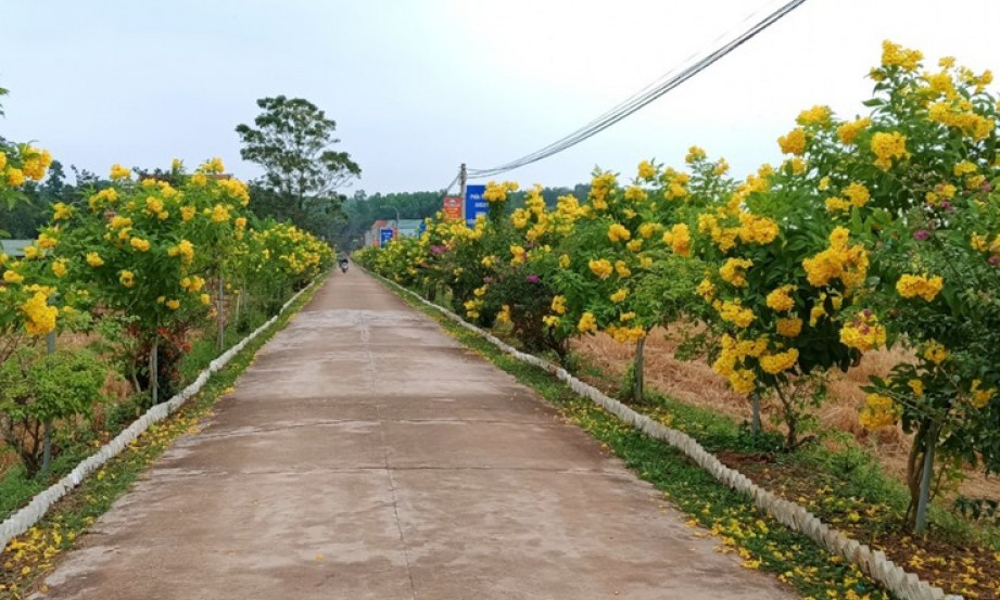 Phụ nữ Đông Hải vì một môi trường xanh văn minh- hạnh phúc