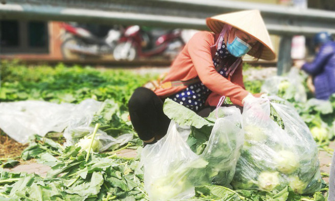 Đề xuất nhiều giải pháp cấp bách thúc đẩy tiêu thụ nông sản