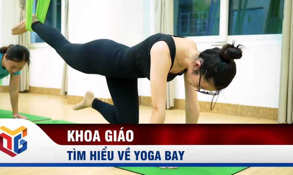 Yoga bay