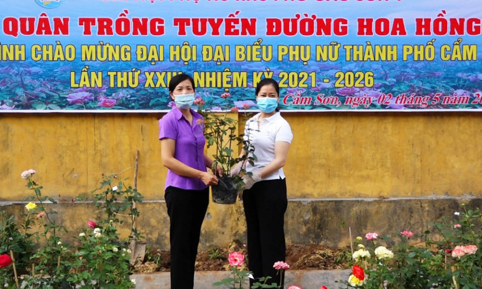 "Thành phố triệu đóa hoa hồng"