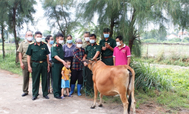 TP Móng Cái: Trao tặng bò giống cho nạn nhân chất độc da cam