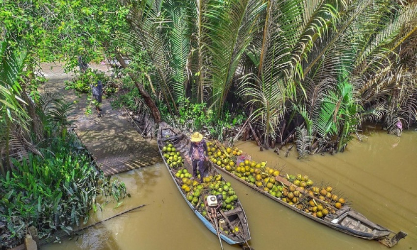 Xứ dừa Bến Tre yên bình