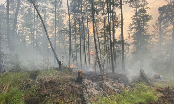 Siberia đối mặt với cháy rừng sau tháng 6 khô nóng nhất trong 133 năm qua
