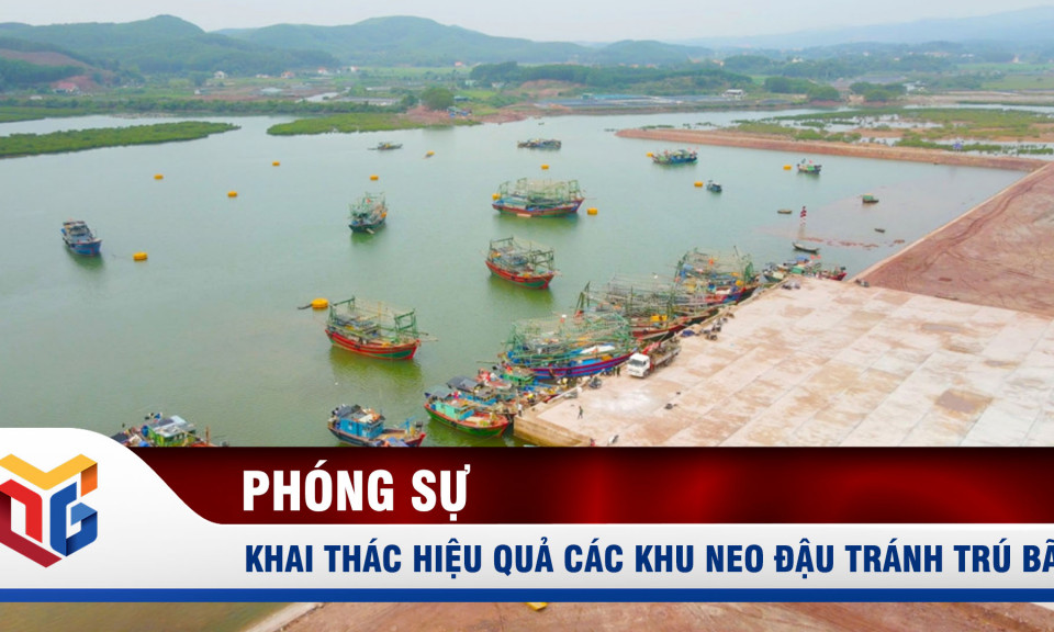 Khai thác hiệu quả các khu neo đậu tránh trú bão