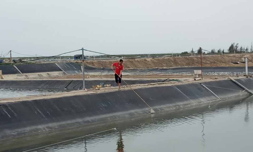 Bảo vệ môi trường trong sản xuất nông nghiệp ở Móng Cái