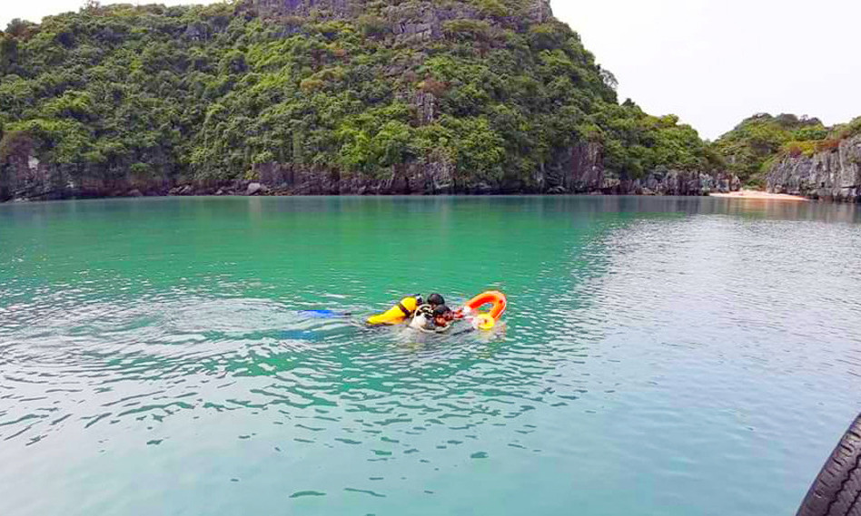 The forest of “sea flowers” at Crescent lagoon