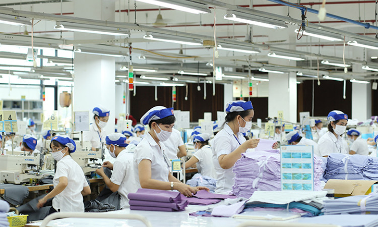 Xuất khẩu dệt may hồi phục đà tăng trưởng