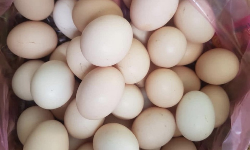 Trứng gà tăng giá gấp đôi vẫn "cháy" hàng