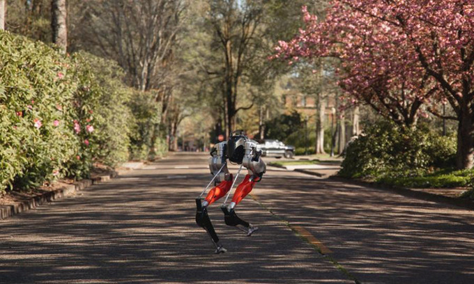 Robot hai chân đầu tiên chạy 5 km ngoài trời