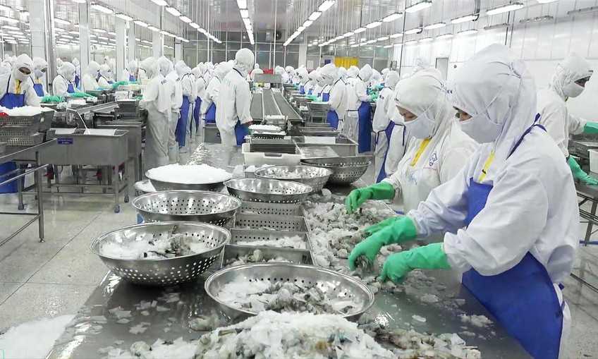 Xuất khẩu thủy sản, khó tứ bề