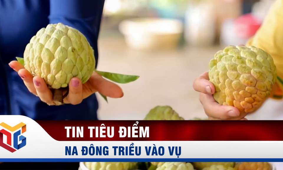 Na Đông Triều vào vụ 