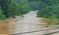Người đi bắt cá kịp thời cứu sống 2 người bị nước cuốn trôi