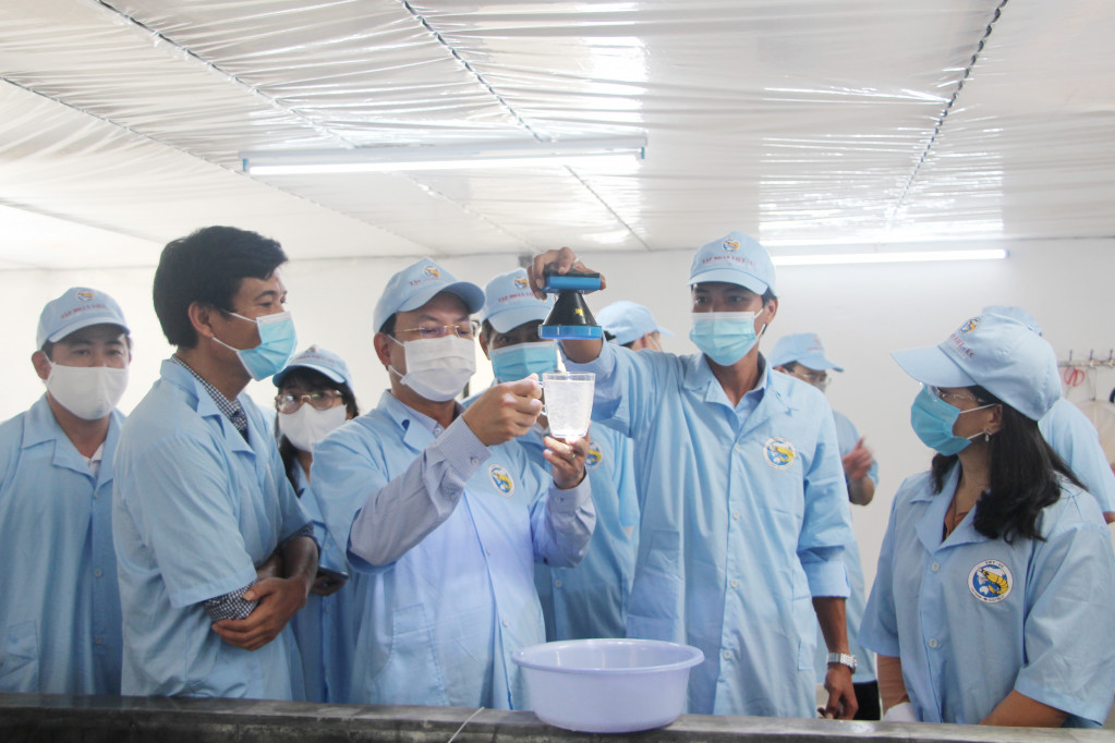 Đồng chí Nguyễn Xuân Ký, Bí thư Tỉnh ủy, Chủ tịch HĐND tỉnh cùng đoàn công tác kiểm tra khu sản xuất tôm giống.