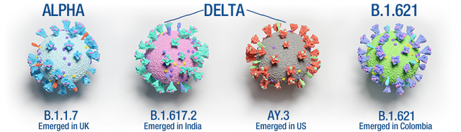 Biến thể Delta chưa phải là trùm cuối của đại dịch, đây là cách mà nó còn có thể tiến hóa - Ảnh 2.