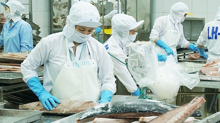Administrative procedure reforms create favourable conditions for seafood enterprises to export their products. 