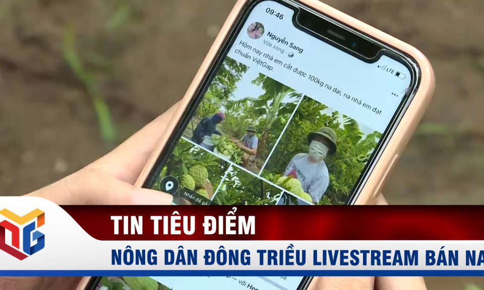 Nông dân Đông Triều và công nghệ "livestream bán na"