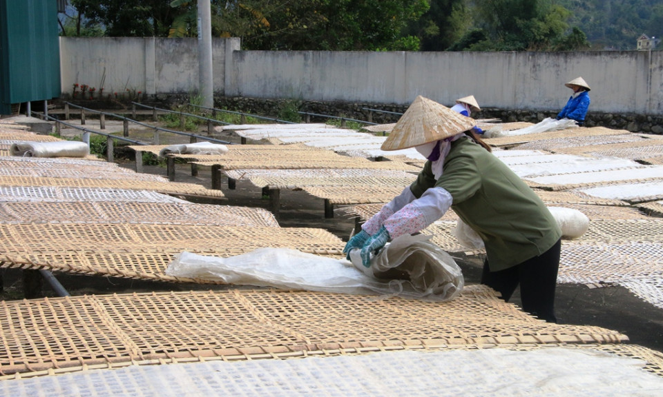 Bình Liêu: Đẩy mạnh phát triển các sản phẩm OCOP 