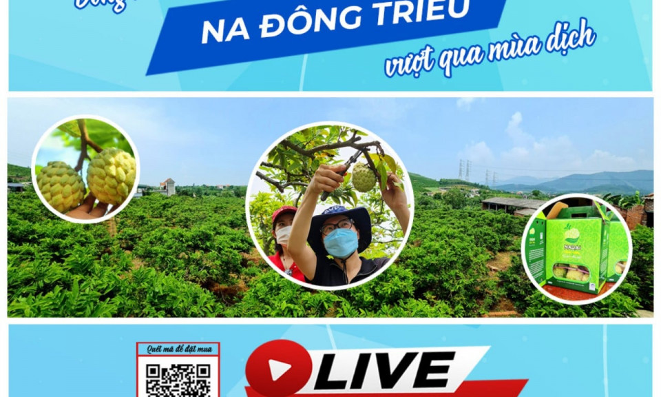 Đưa na VietGAP Đông Triều đến người tiêu dùng 