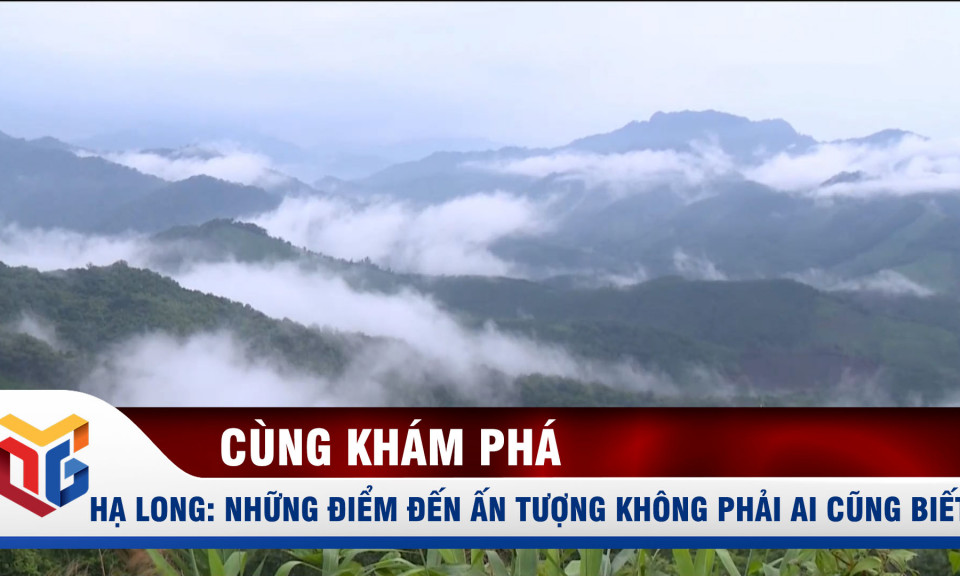 Hạ Long - Những điểm đến khác biệt