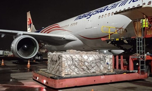 50.000 lọ thuốc remdesivir trị Covid-19 về Việt Nam