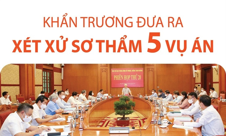 Khẩn trương đưa ra xét xử sơ thẩm 5 vụ án