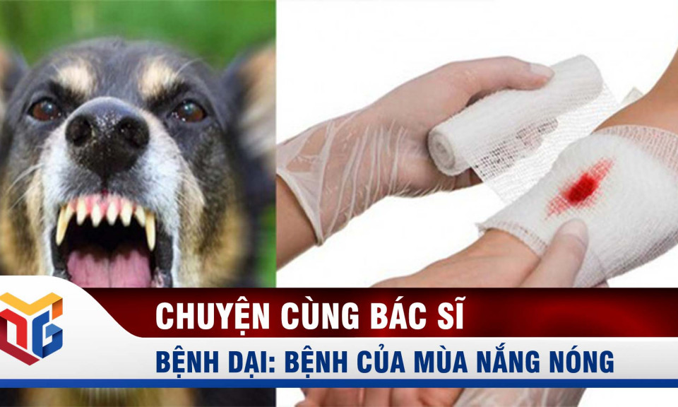 Bệnh dại: Bệnh của mùa nắng nóng